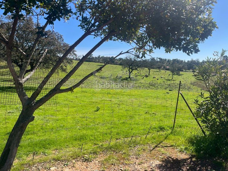 Foto d6097d40-d39c-47c4-88e8-2c0834ac08f8. Finca rústica a Valverde del Camino