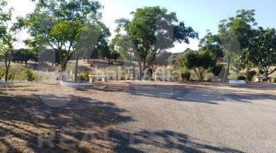 Foto ecad4ada-d51d-4a47-9f86-42ee2c6392f2. Finca rústica a Valverde del Camino