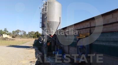 Foto f040f31c-a4b6-4f52-bc6d-9116563fb8a3. Finca rústica a Valverde del Camino