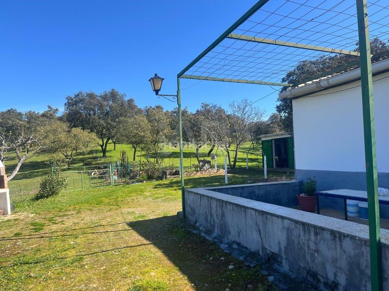 Foto ffc15986-cc92-4723-a839-294e9e5995cb. Finca rústica a Valverde del Camino