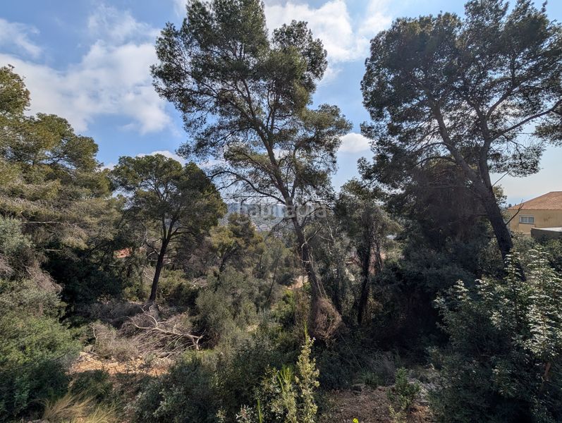 Foto 54ca451a-0288-48cb-8f27-8b4c7c507051. Terreny residencial a costa Cunit - els jardins - els rosers Cunit