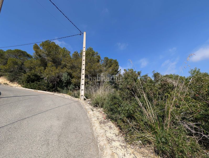 Foto 63528e93-70e5-45ad-a7d0-b8b0b3dcf877. Terreny residencial a costa Cunit - els jardins - els rosers Cunit