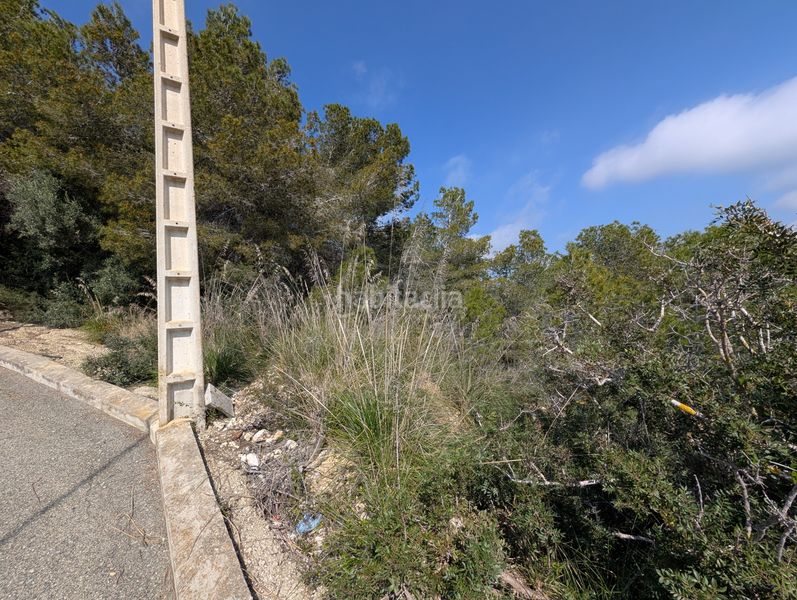 Foto 73ae3896-02ff-47b8-86af-561418ecac4c. Terreny residencial a costa Cunit - els jardins - els rosers Cunit