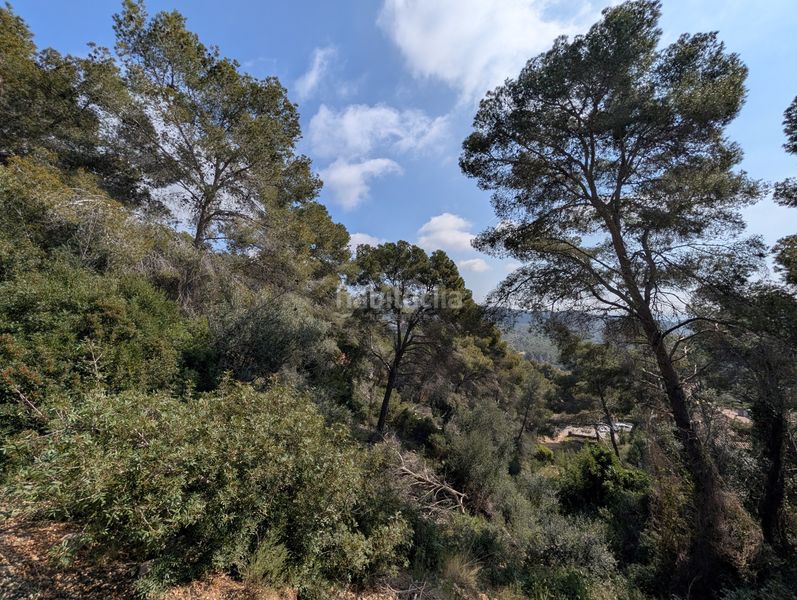 Foto 90037345-897f-42c0-8c55-264cb43b1fdb. Terreny residencial a costa Cunit - els jardins - els rosers Cunit