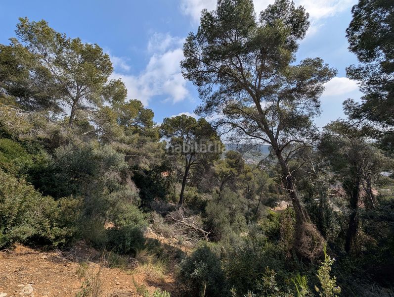 Foto bb172de5-8661-423d-b480-25e8bf626f7d. Terreny residencial a costa Cunit - els jardins - els rosers Cunit