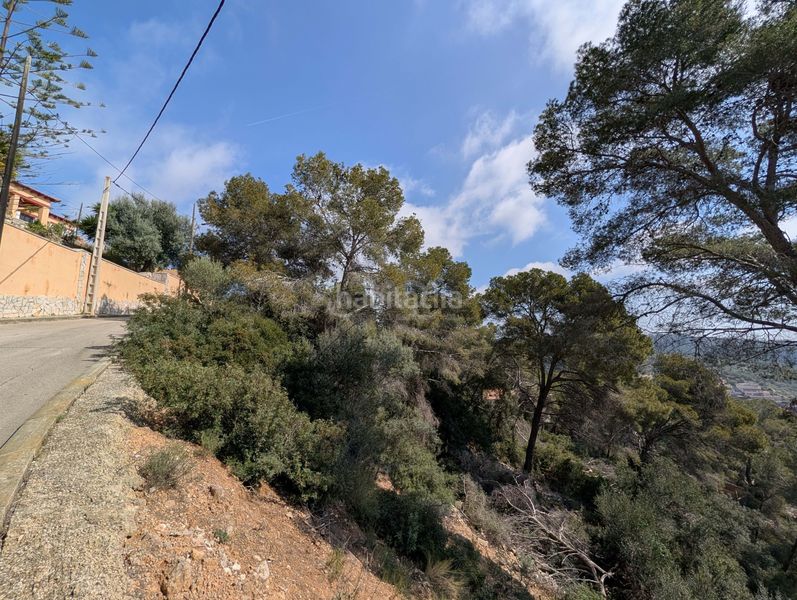 Foto bcc55839-b334-43ea-a2fa-41c07e9c79aa. Terreny residencial a costa Cunit - els jardins - els rosers Cunit