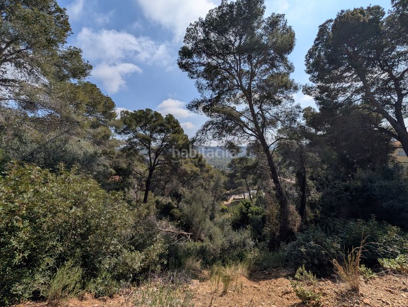 Foto e3e7c3ab-dcad-4dba-9cc1-c4cb4ac49198. Terreny residencial a costa Cunit - els jardins - els rosers Cunit