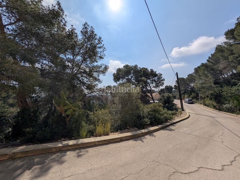 Foto fd23f0d0-0cbe-46c5-bdd1-029f851818eb. Terreny residencial a costa Cunit - els jardins - els rosers Cunit