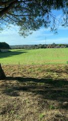 Fondo rustico in Sant Llorenç des Cardassar
