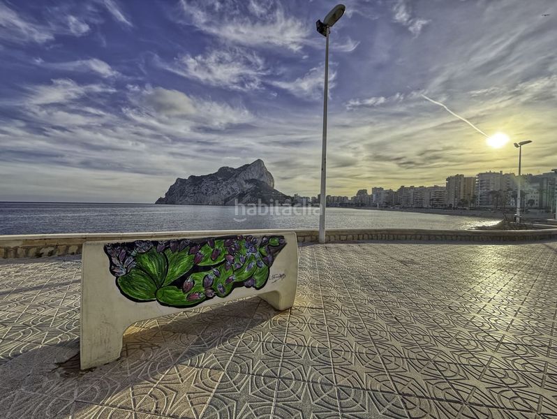 Foto 2fc09b70-da72-4a0a-a6b1-a102e485beb0. Pis a llentiscle 41 a Zona Levante - Playa Fossa Calp