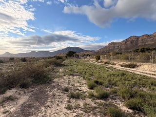 Rural plot in Xixona