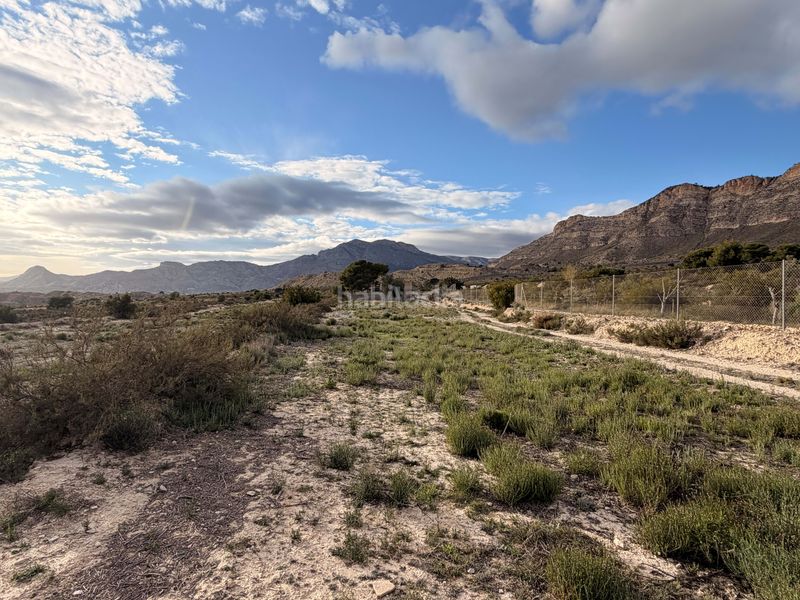 Foto e0d9ee73-fb8f-409b-a224-03e1b02b71a1. Finca rústica a Xixona