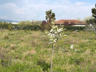 Landgut in Santa Oliva