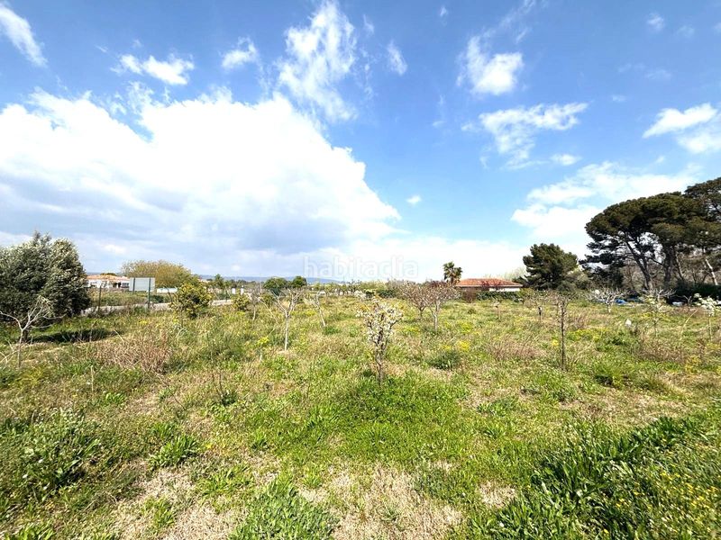 Foto 1a60d34e-7d45-4755-837a-378335722420. Finca rústica a Santa Oliva