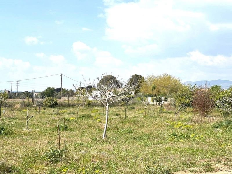 Foto 3c8a69a0-892c-4a8d-a1d7-17c5c3cef480. Finca rústica a Santa Oliva