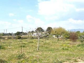 Finca rústica a Santa Oliva