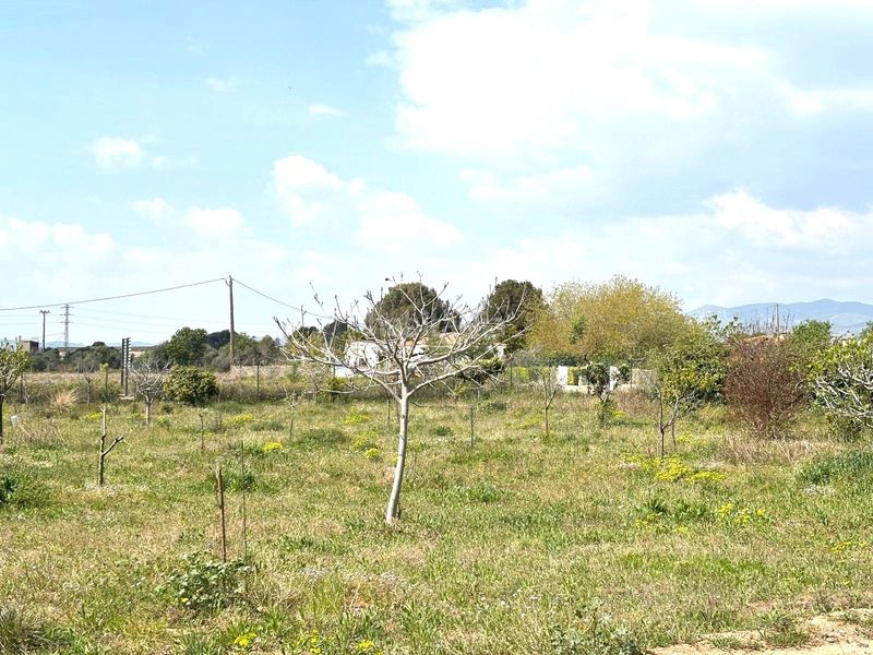 Foto 408c98bf-21b0-4833-9823-0b97ab9ceed3. Finca rústica a Santa Oliva