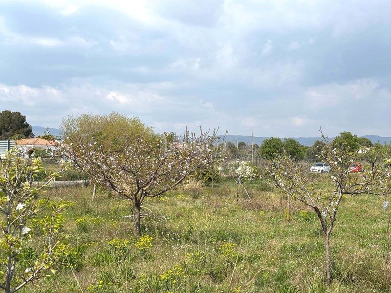 Foto 42fa3c57-d5a0-41c5-9e65-331126c4dfbc. Finca rústica a Santa Oliva