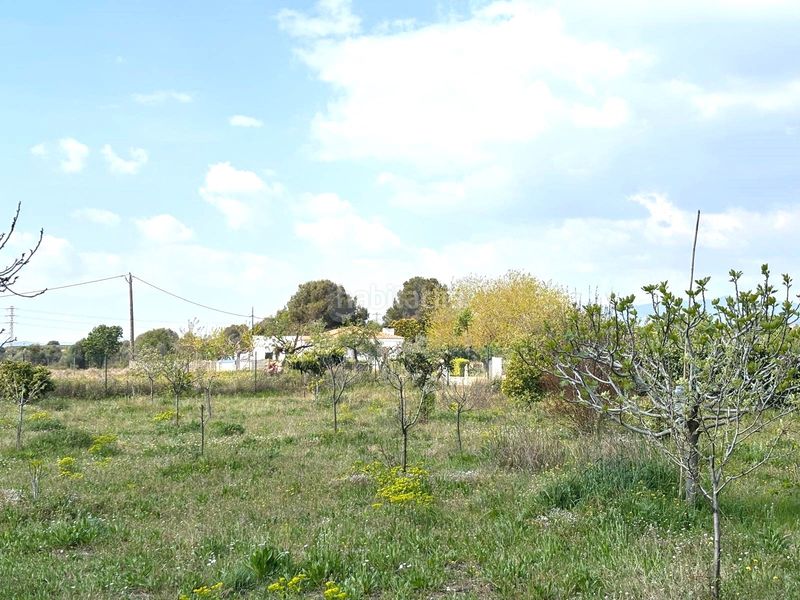 Foto 53936829-a067-4450-aaba-3b6dbeb2510f. Finca rústica a Santa Oliva