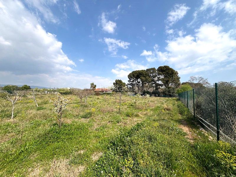 Foto 8ffadfaf-c135-4b58-87c1-1ae87b489d96. Finca rústica a Santa Oliva