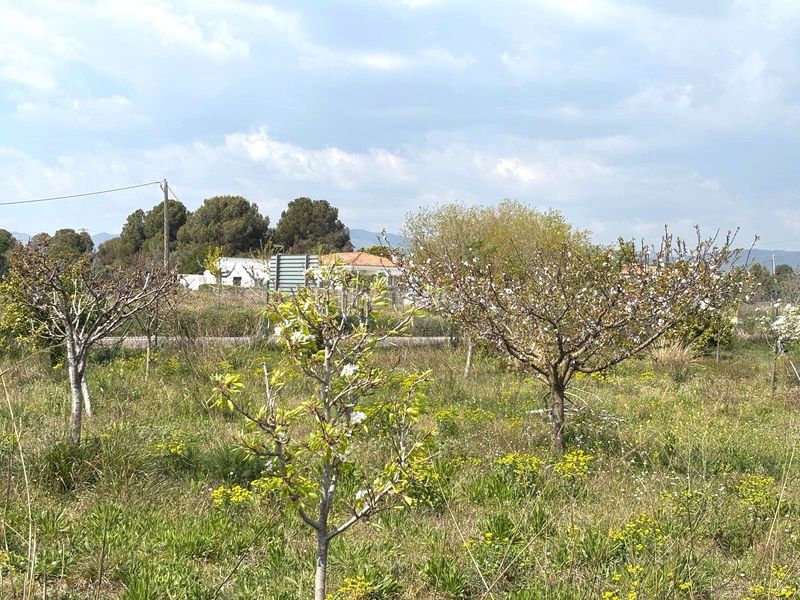 Foto aba11fed-df52-47f0-85f5-f9357013510e. Finca rústica a Santa Oliva