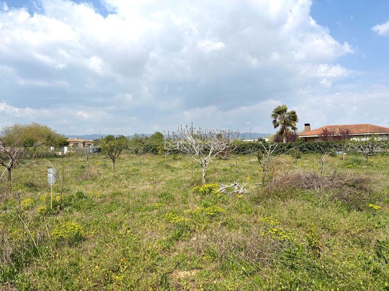 Foto b3a73a38-71d9-41cd-8d70-62aae76fdeb9. Finca rústica a Santa Oliva