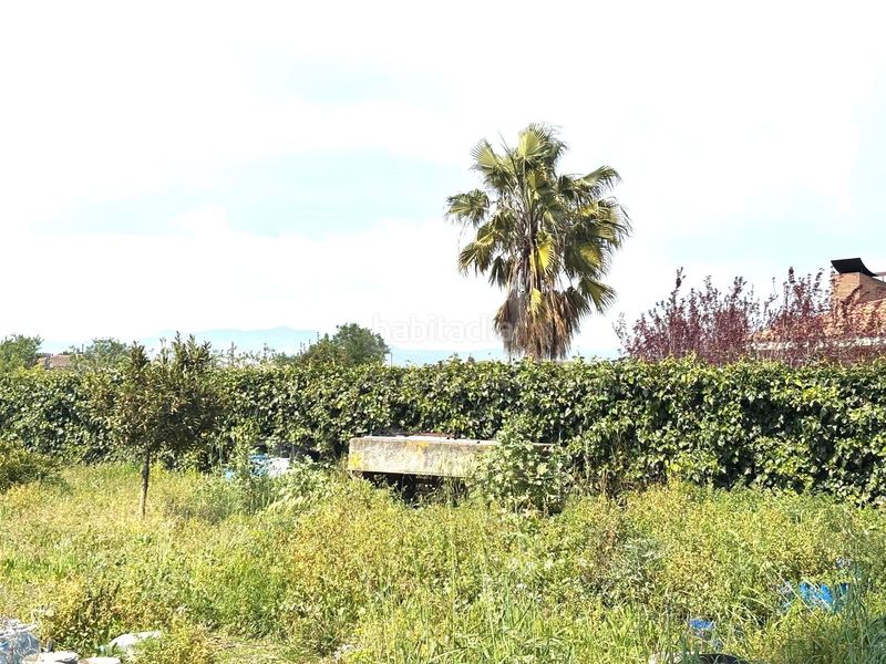 Foto b6f7564f-e79b-4a0f-87eb-d2bf134bb2f0. Finca rústica a Santa Oliva
