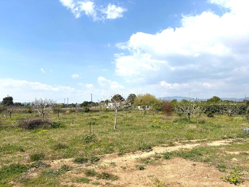 Foto db2cf5f9-417b-47ce-af53-1e3cae15257d. Finca rústica a Santa Oliva