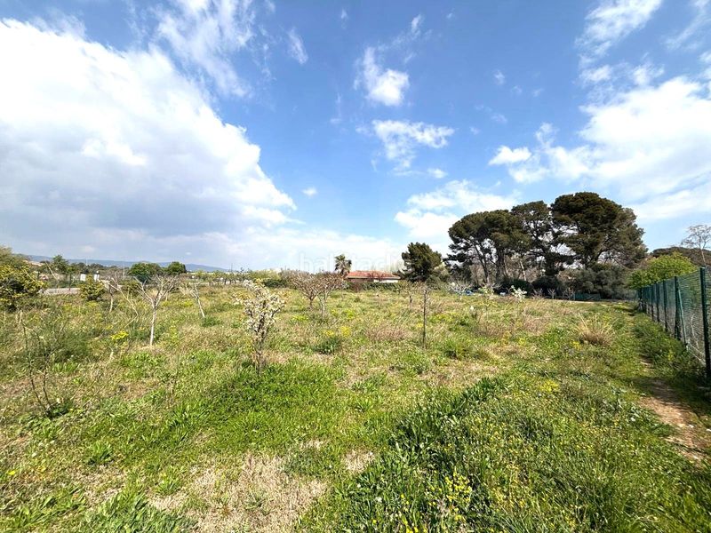 Foto e0509454-31b9-4da8-98ee-b6020ecc877e. Finca rústica a Santa Oliva