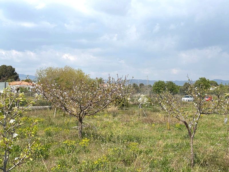 Foto e50842f1-eca9-47b0-bd08-b31ca326127f. Finca rústica a Santa Oliva