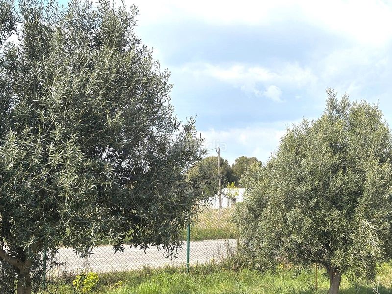 Foto f73c2470-1035-4279-87df-a183925844a1. Finca rústica a Santa Oliva