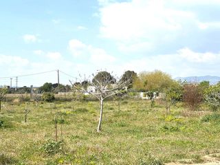 Finca rústica en Santa Oliva