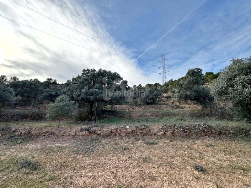 Foto 004fbbbe-97c2-4e99-ba9e-ff42ee43d959. Finca rústica a Ascó