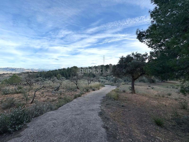 Foto 37b9caed-5b46-444f-8246-eeea21117fcd. Finca rústica a Ascó