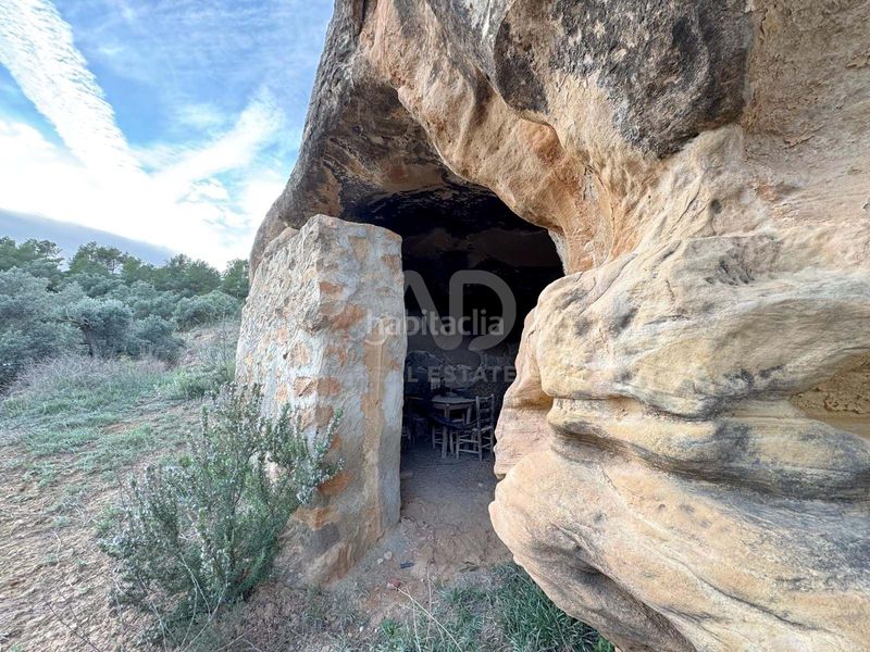 Foto 49a46b0c-2bc9-410f-9410-7a4e812aa648. Finca rústica a Ascó