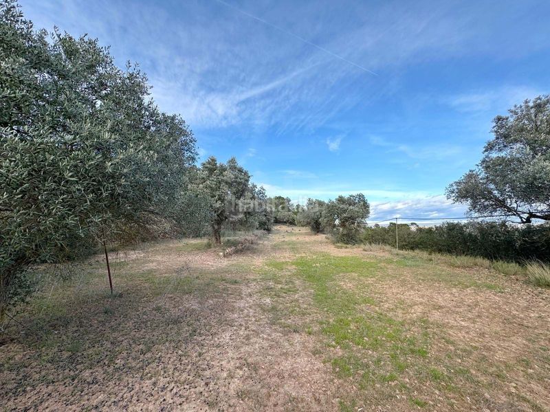 Foto 71e7760d-fb08-4539-a1ba-11f3e3f98a95. Finca rústica a Ascó