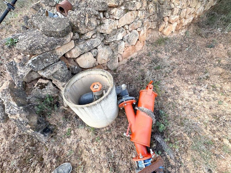 Foto 7d8eb6ff-1971-453e-9ad4-28993bfb575e. Finca rústica a Ascó