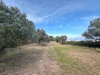 Finca rústica a Ascó