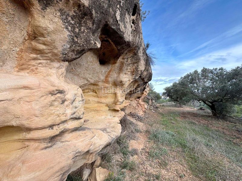 Foto 854512e6-f5ca-49b3-8d8e-1416ea5a7942. Finca rústica a Ascó