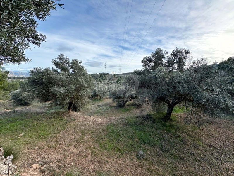 Foto 94fb0463-dfdc-49a7-a255-81732d1e0876. Finca rústica a Ascó