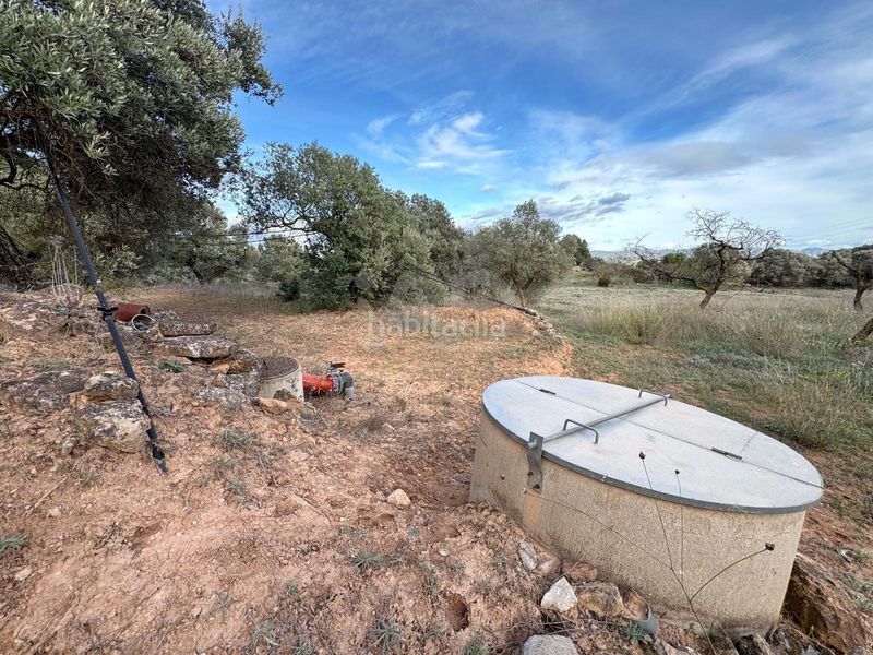 Foto bbf51bb4-5ae2-4f40-965f-d8904c84cb7a. Finca rústica a Ascó