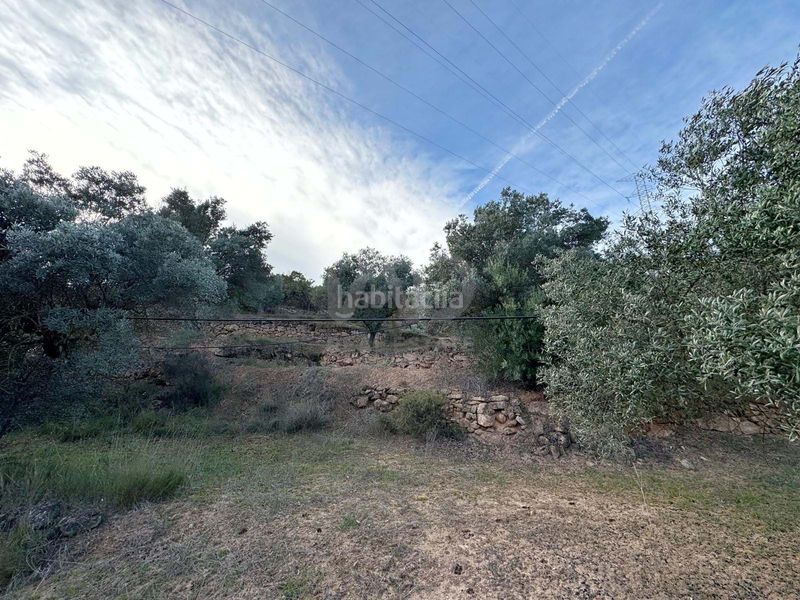 Foto dcd9cd78-1ebb-4df0-9702-160747bc0888. Finca rústica a Ascó