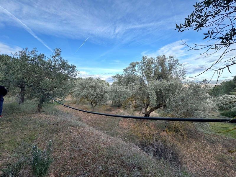 Foto ddbf8d35-d7c0-40b2-a3f6-6f5d122f85dc. Finca rústica a Ascó