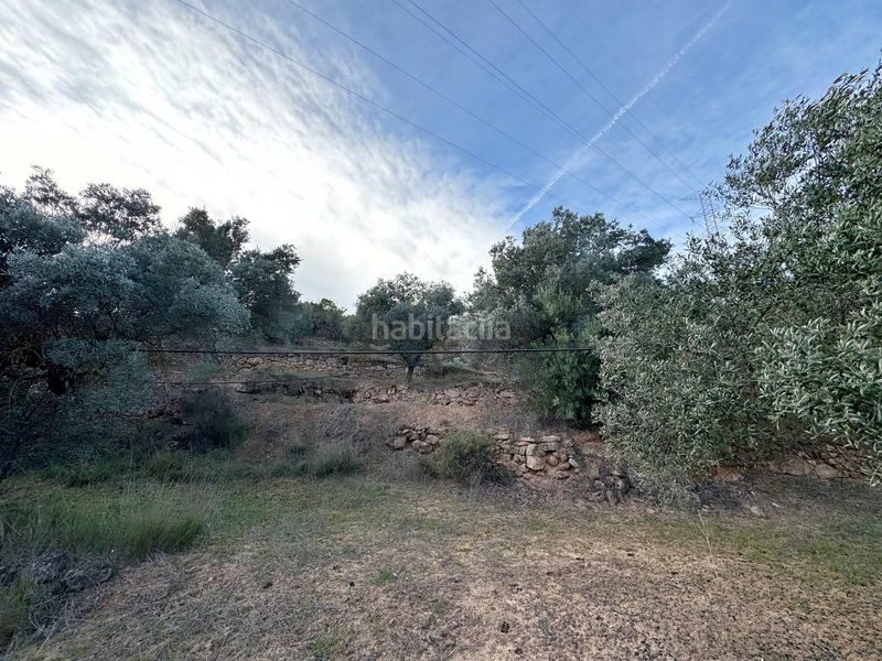 Foto a18a00b4-37f3-4fbe-97a5-d667bd39ca46. Finca rústica en Ascó