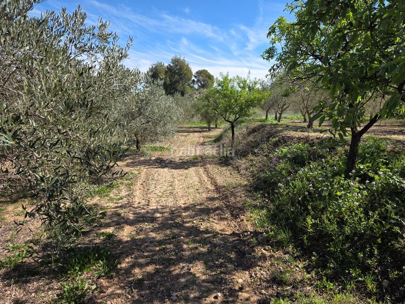 Foto c289e2f1-db64-4879-8224-64702f67762d. Finca rústica en Calasparra