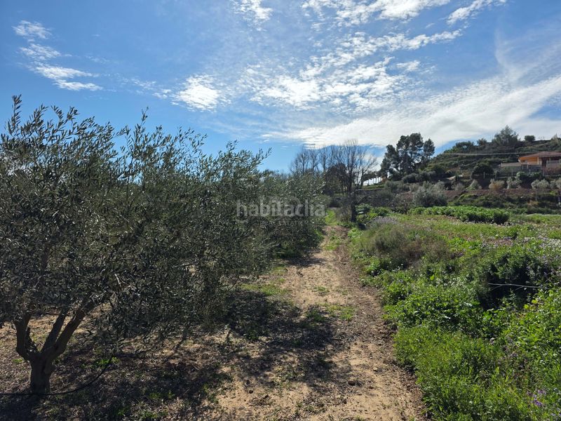 Foto ef380283-7a3f-4569-b875-1e8a305b518f. Finca rústica en Calasparra
