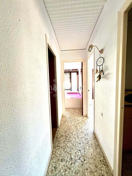 Foto 3520972c-0604-4876-837e-c0177605e9ba. Pis a Ulldecona