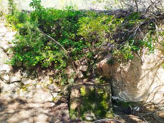 Fondo rustico in Morera de Montsant (La)