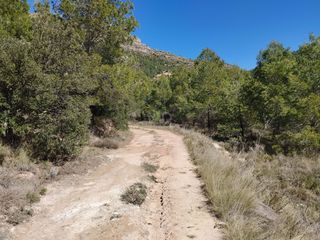 Rural plot in Morera de Montsant (La)