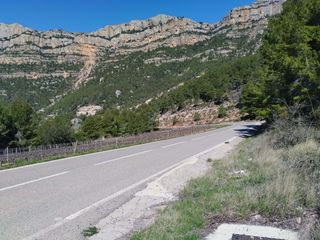 Rural plot in Morera de Montsant (La)